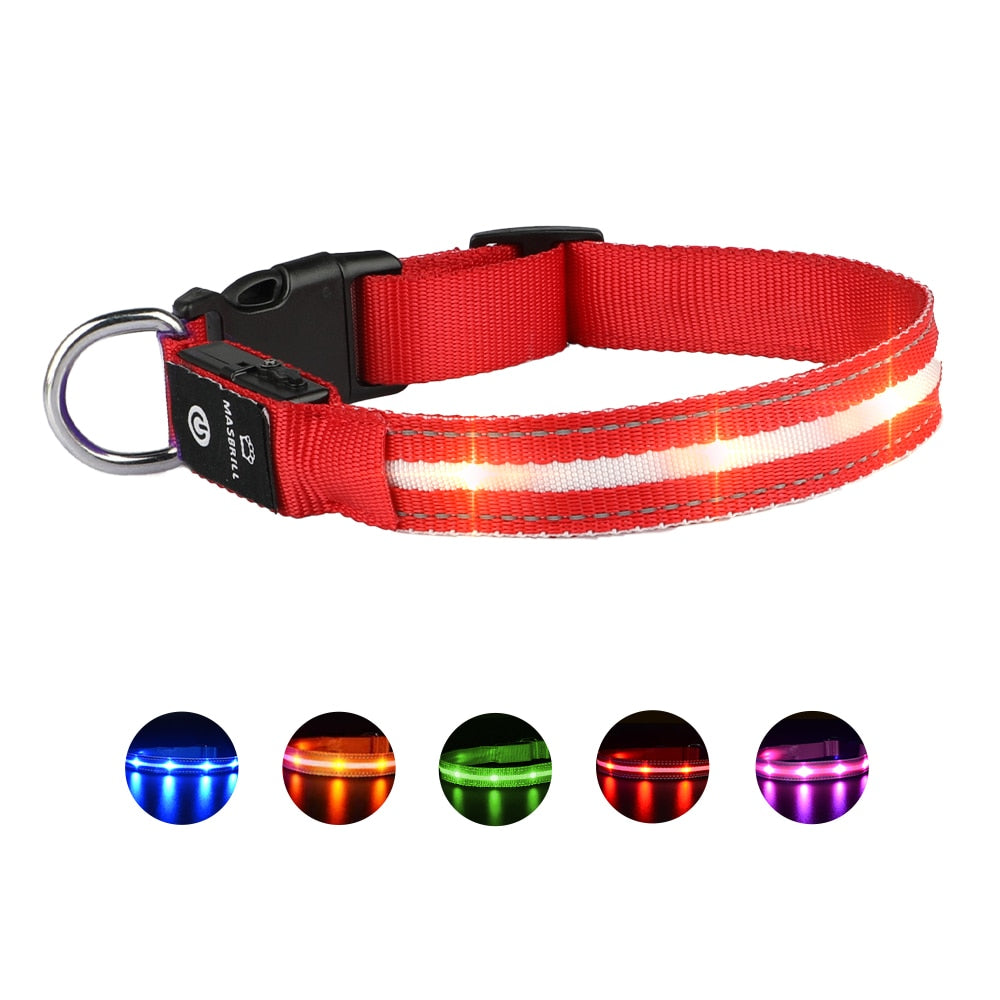 MASBRILL USB Rechargeable Pet Dog LED Glowing Collar Luminous Flashing Necklace Collar Outdoor Walking Night Safety Supplies