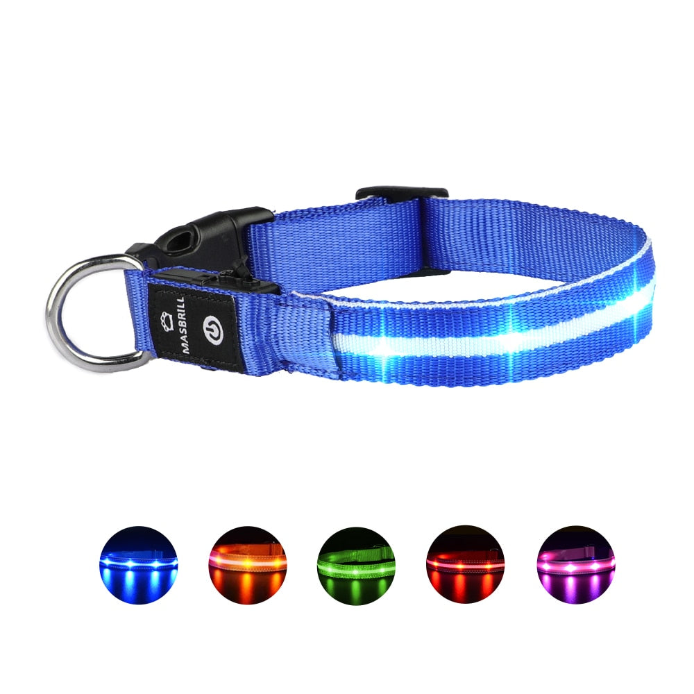 MASBRILL USB Rechargeable Pet Dog LED Glowing Collar Luminous Flashing Necklace Collar Outdoor Walking Night Safety Supplies