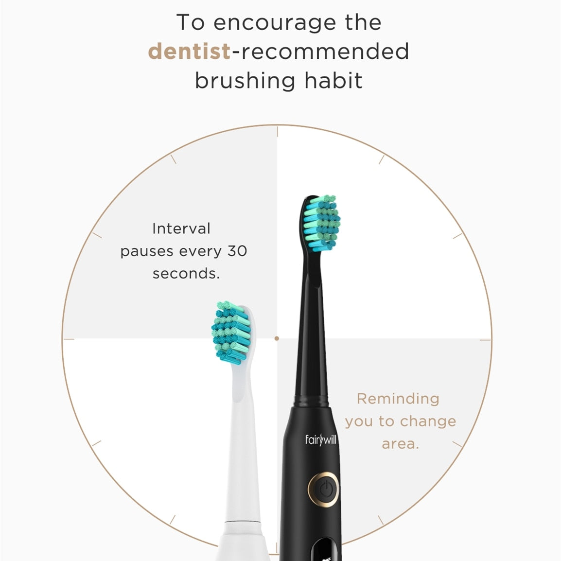 Fairywill Electric Sonic Toothbrush USB Charge FW-507 Rechargeable Waterproof Electronic Tooth Brushes Replacement Heads Adult