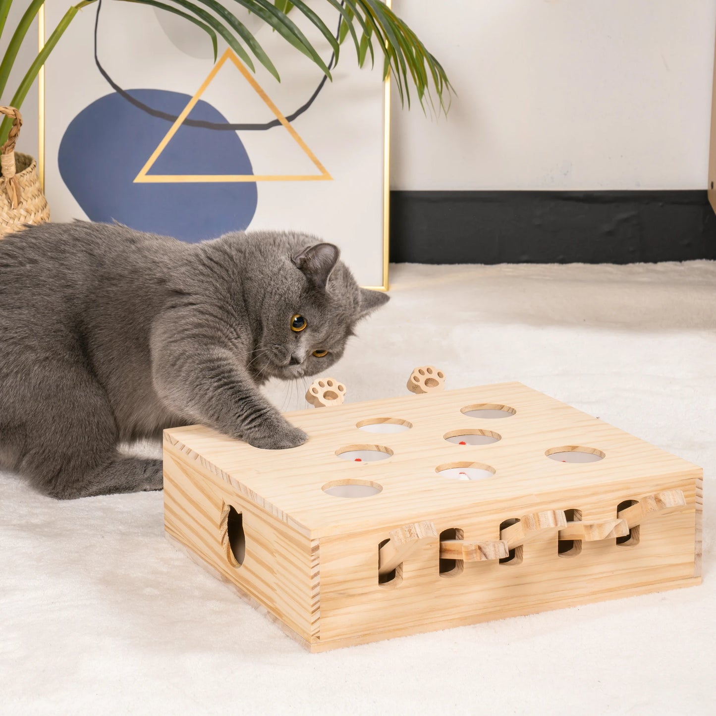 Mewoofun Cat Toys Interactive Whack-a-mole Solid Wood Toys for Indoor Cats Kitten Catch Mice Game 8 Holes US Stock