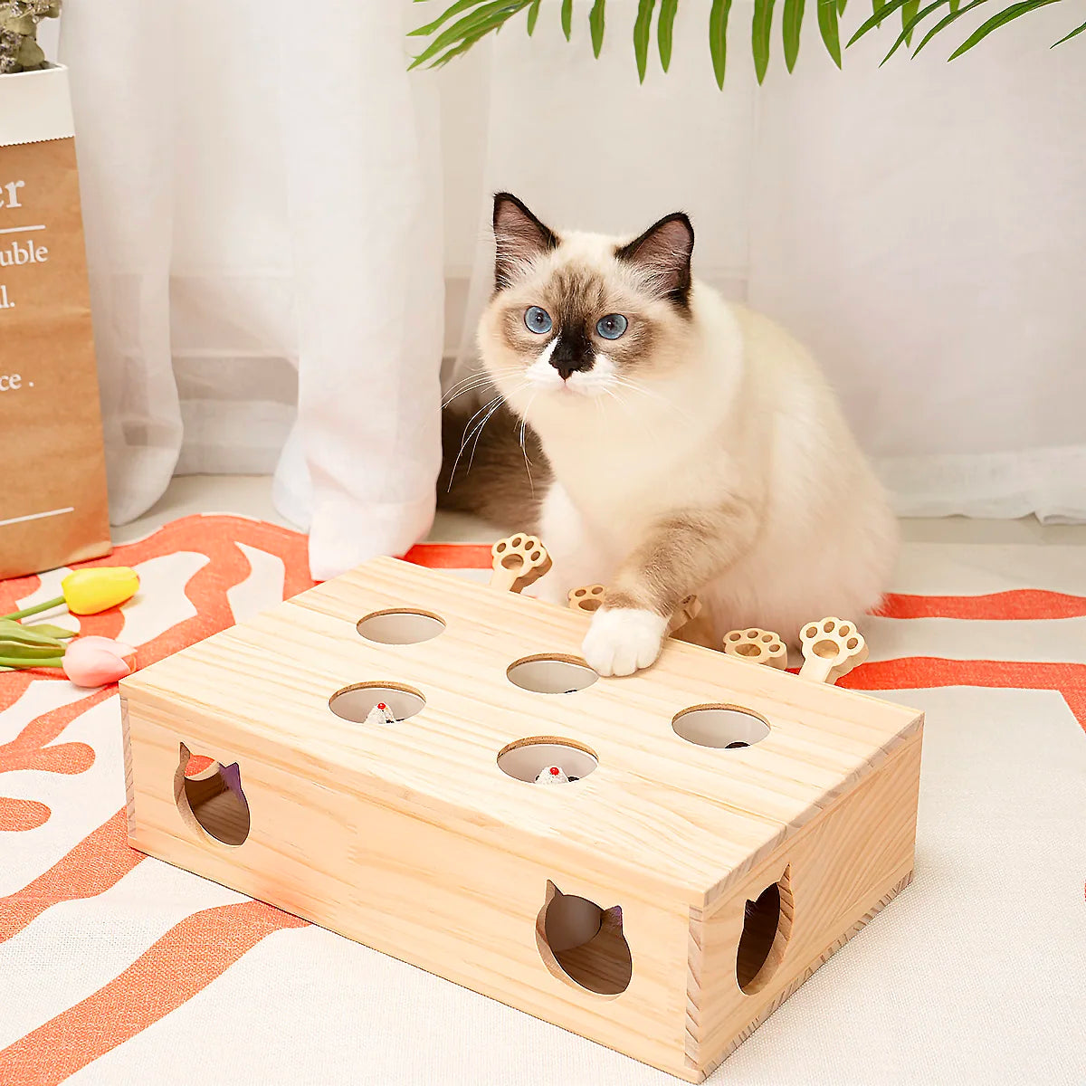 MewooFun Cat Toys Interactive Whack-a-mole Solid Wood Toys for Indoor Cats Kitten Catch Mice Game US Stock Dropshipping WG320