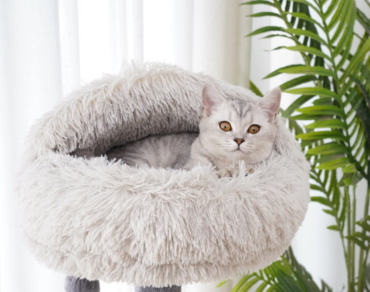 Catry 4-Level Grey Cat Tree With Condo and Scratching Pad, 48&#39;&#39; Height cat tower  cat wheel