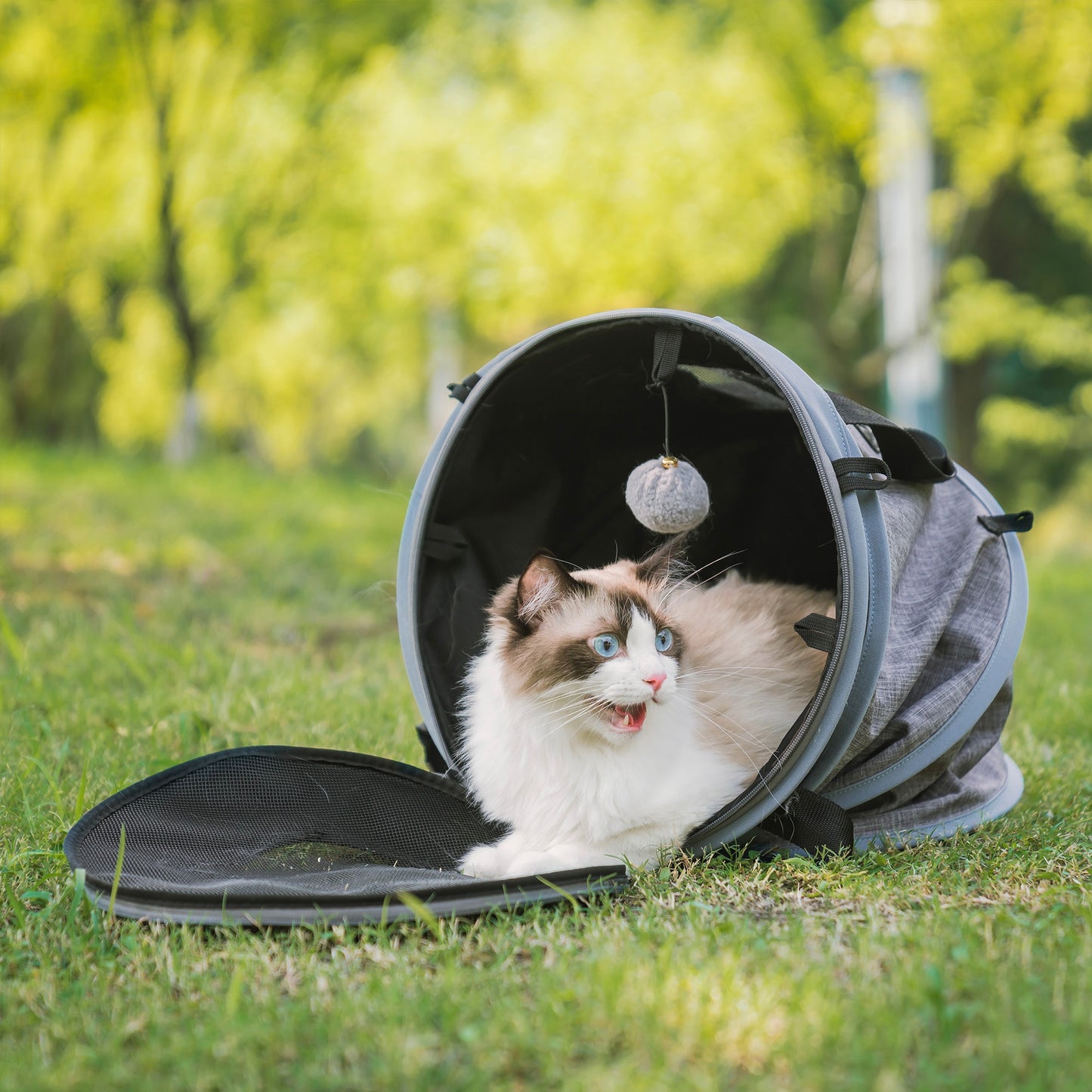 MEWOOFUN 3 In 1 Portable Pet Travel Bag Oxford Cloth With Bell Ball Foldable Easy To Take Cat Dog House for Outing US Stock